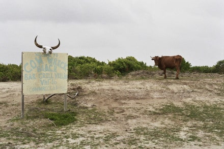 Cow Wreck Beach Bar - Anegada, BVI