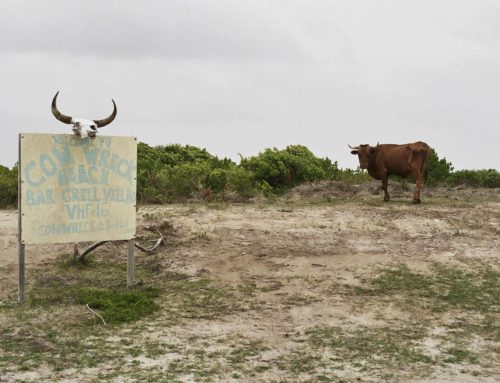 Day-Trips to Anegada