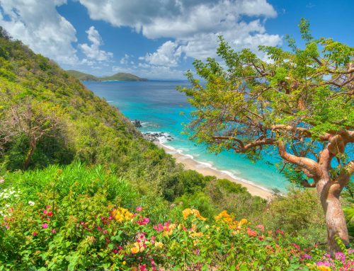 7 Perfect Days in Virgin Gorda